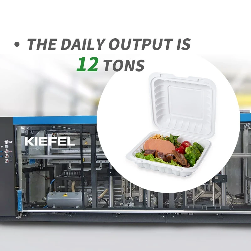 product-800-800 product-800-800