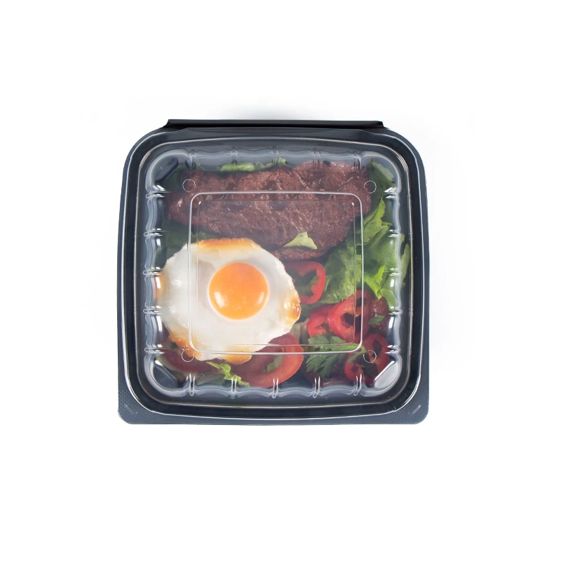 8x8-Inch-Biodegradable-Heavy-Duty-Dinnerware