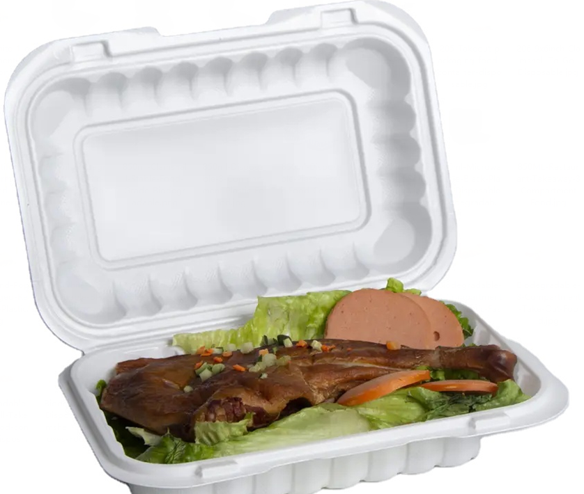 disposable lunch boxes