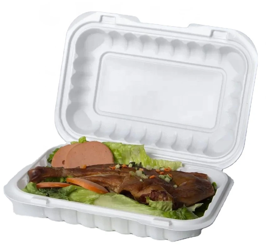 disposable lunch boxes