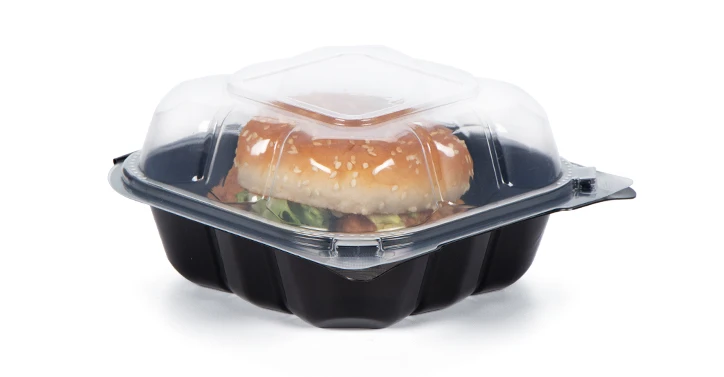 plastic disposable clear box