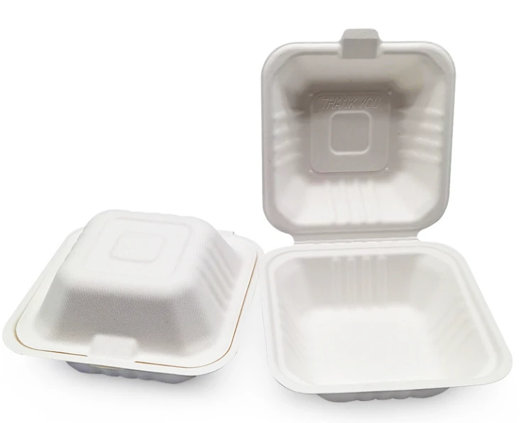 disposable lunch box