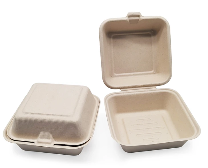 biodegradable lunch box