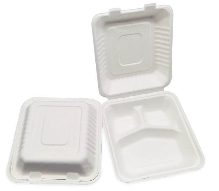 disposable lunch boxes