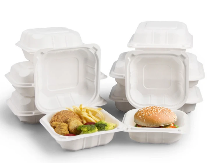 news-732-559 plastic food containers with lids