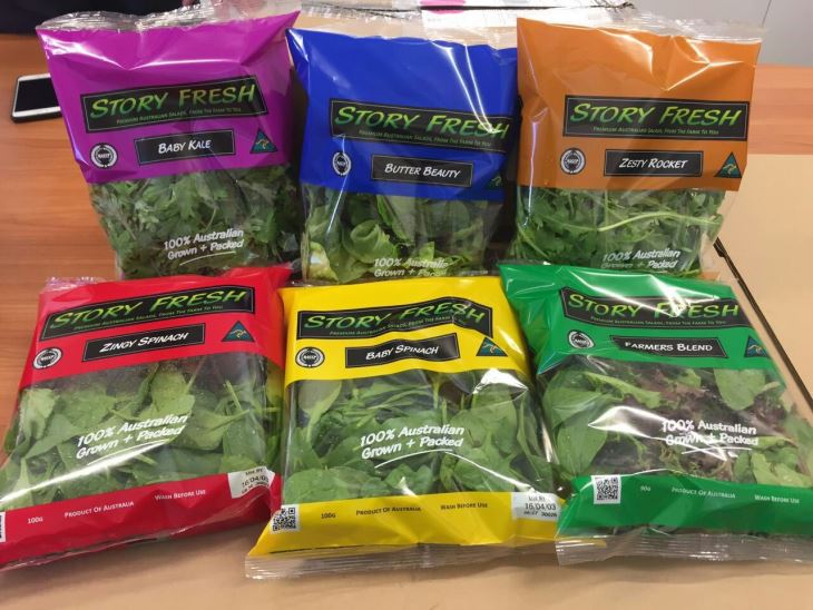 Fresh Vegetables Fruit Anti-fog Plastic Packaging Bags With Customized Logo