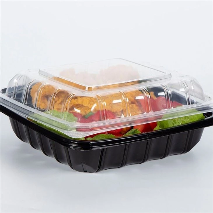 Disposable Containers