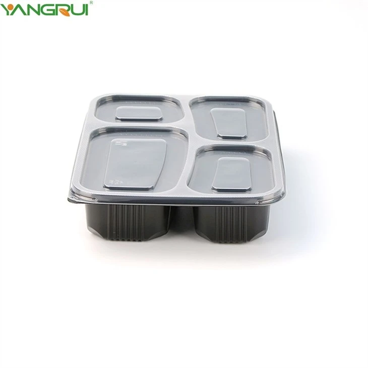 Food Bento Box