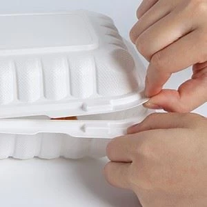 Packaging Box For Food
