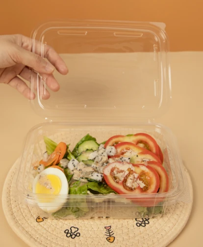 Plast salatskåler Retangulære