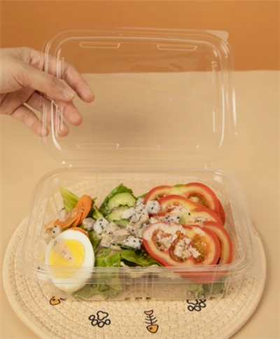 Plast salatskåler Retangulære