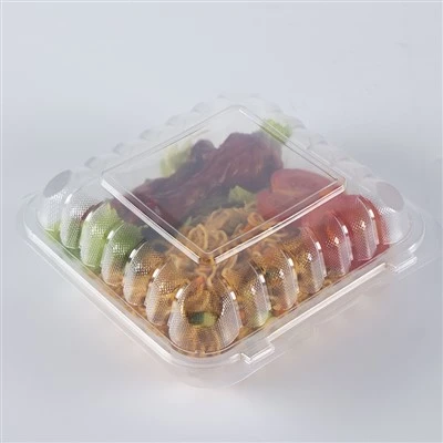 Transparent Bento Box engangs takeaway