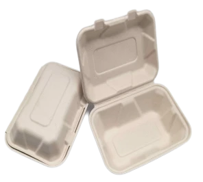 To Go-beholdere engangsbagasse