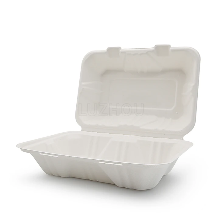 To Go Containers Bagasse hengslet