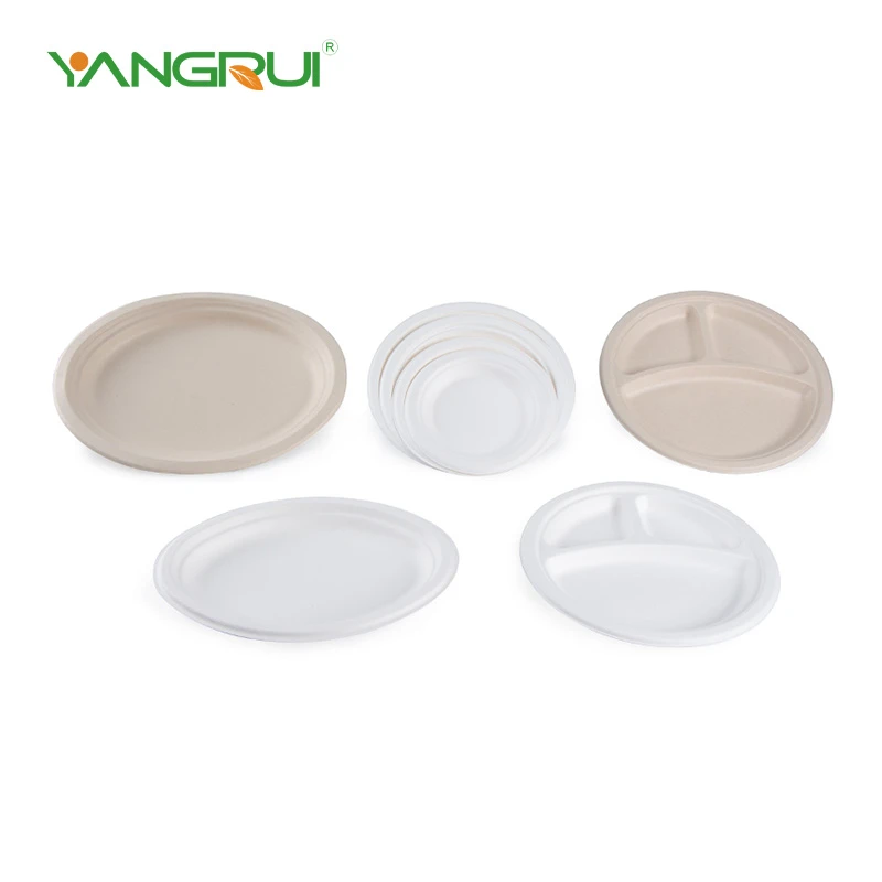 Bagasse rund plate