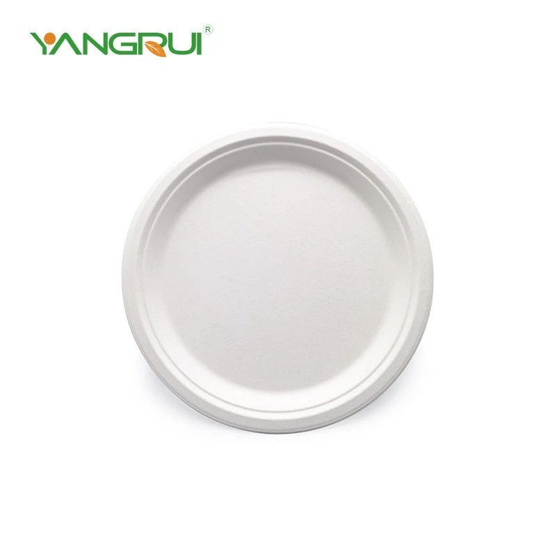 Bagasse Round Plate