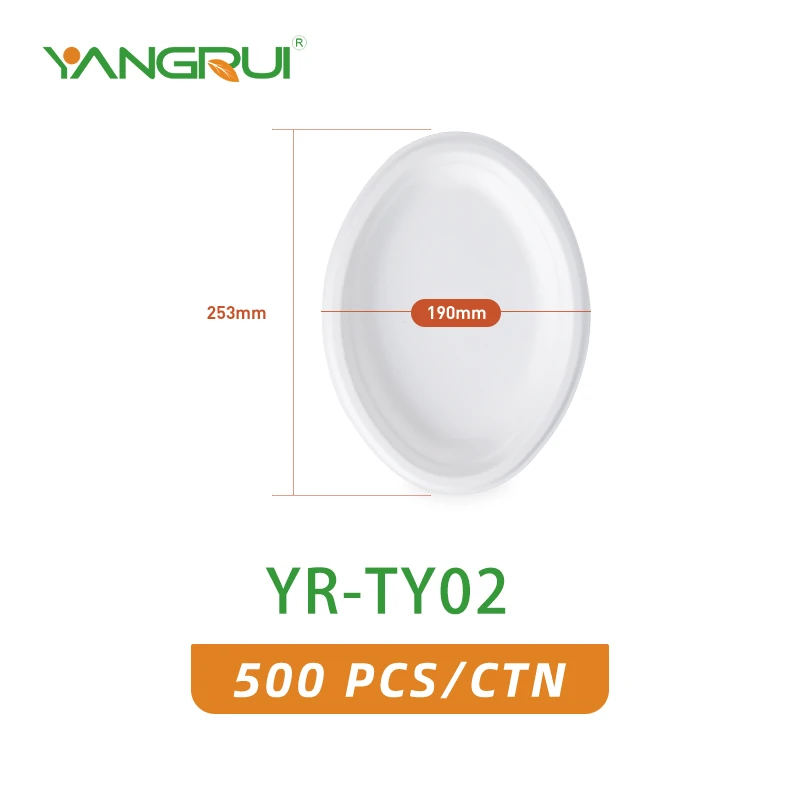 YR-TY02