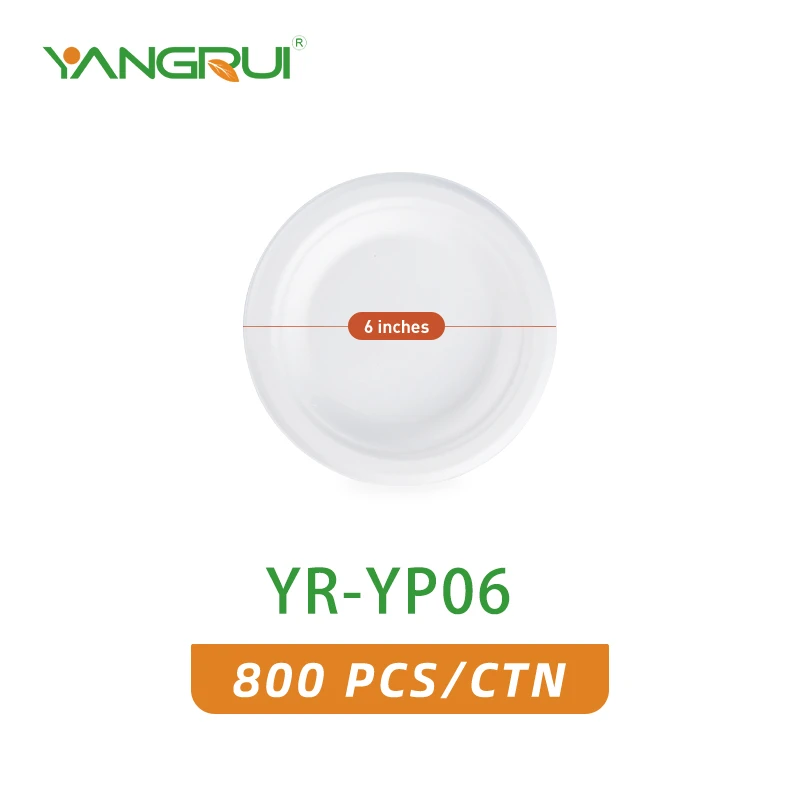 YR-YP06 YR-YP06