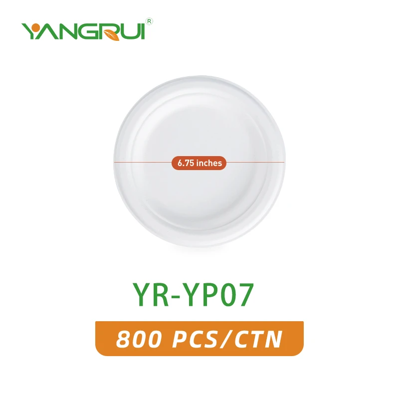 YR-YP07