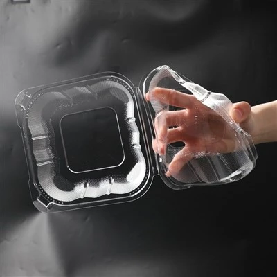 Clear Plastic Food Boxes Clear Plastic Food Boxes
