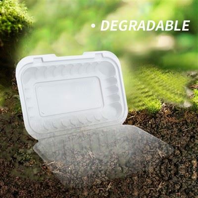 To-go Boxes Bulk